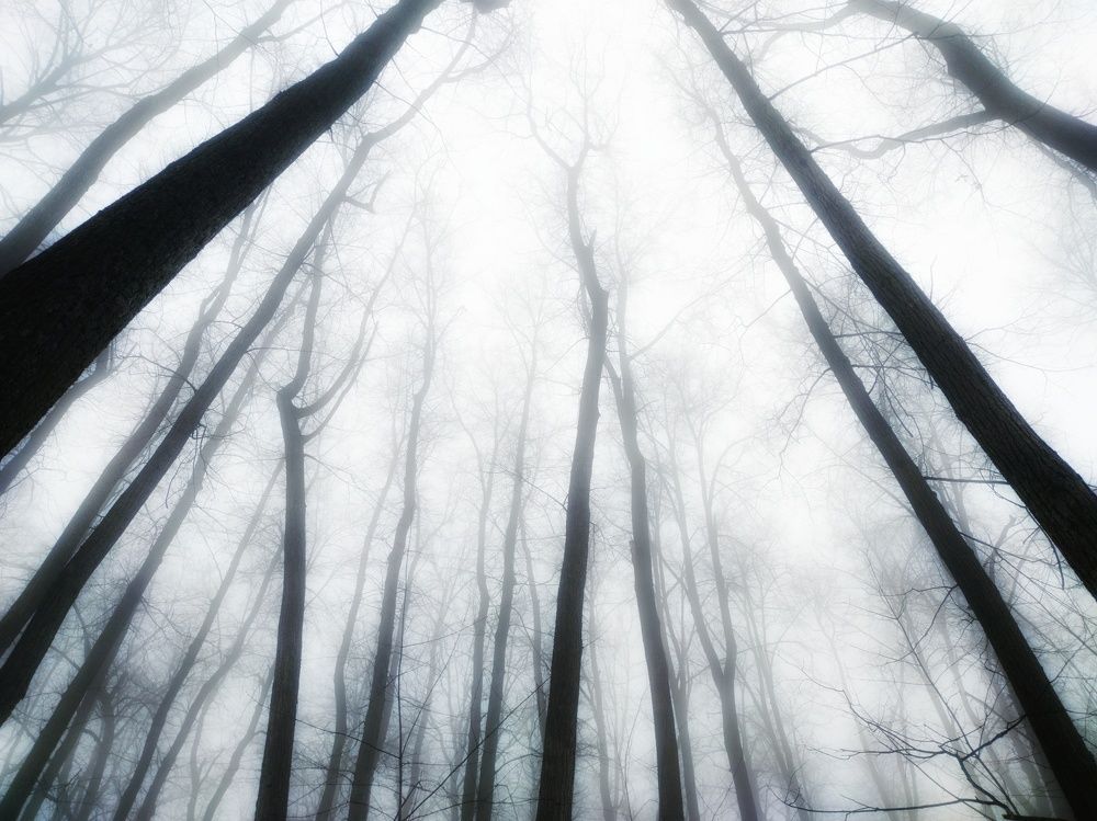 Фотография автора Александр Андреянов