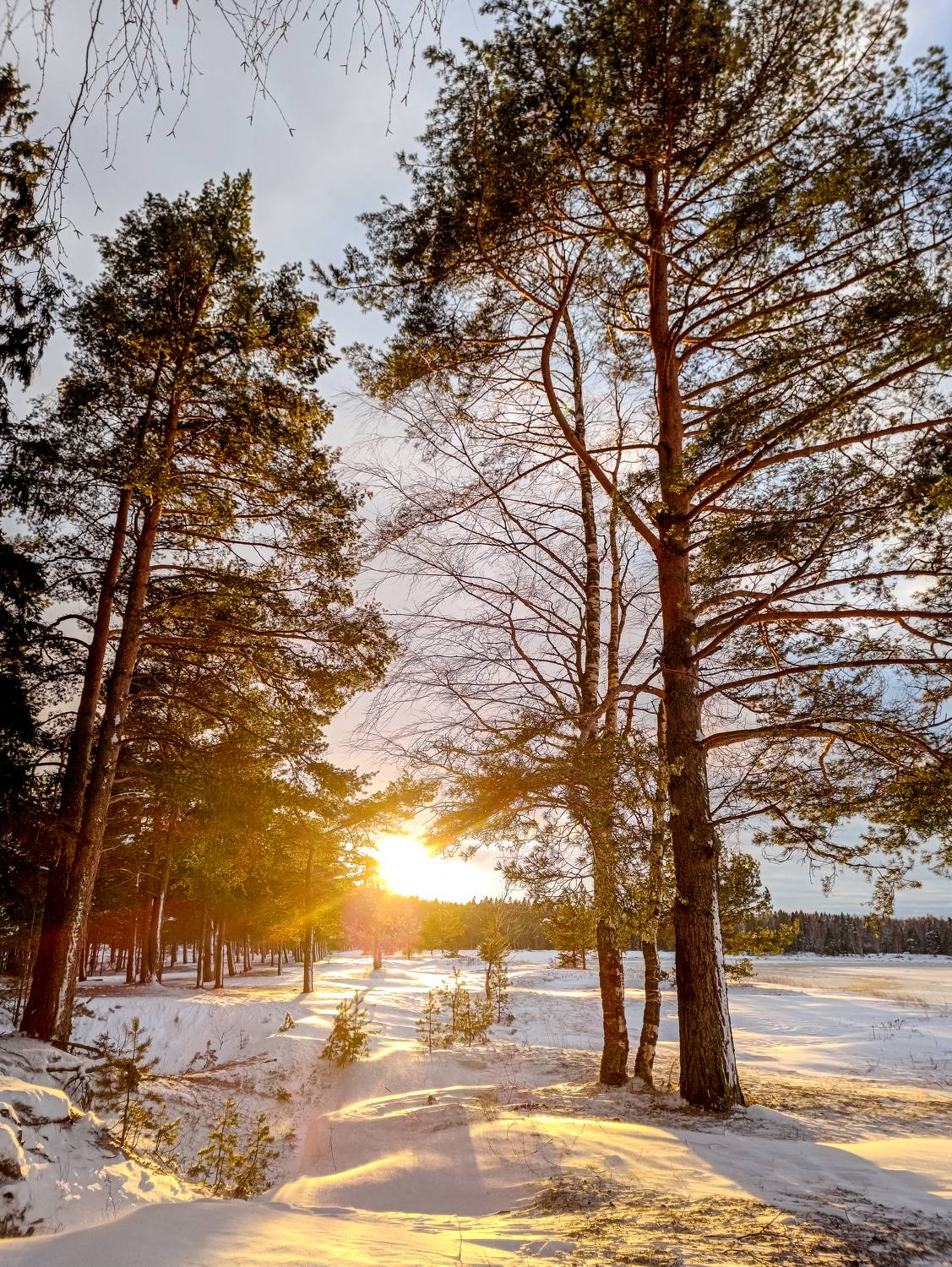 Photo #9026124