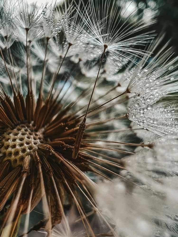 После дождя.