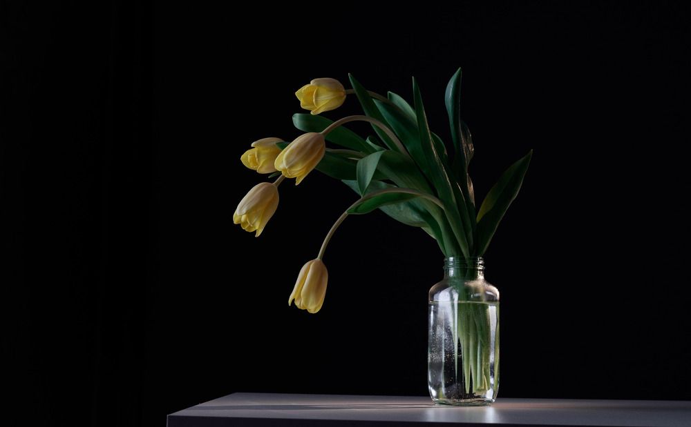 Photograph by Егорова Оксана