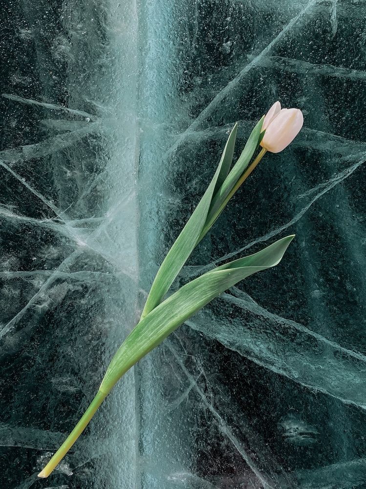 Photograph by Мария Уголькова