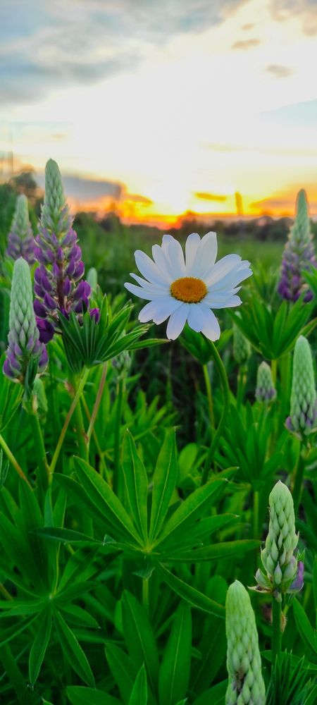 Фотография автора Марина Гусева