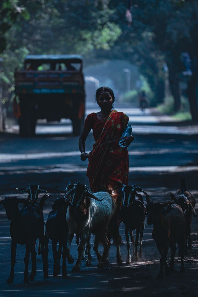 Photograph by Saptarshi Goswami