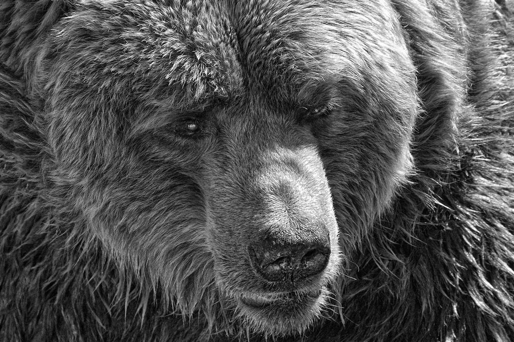 Photograph by Андрей Вахрушев