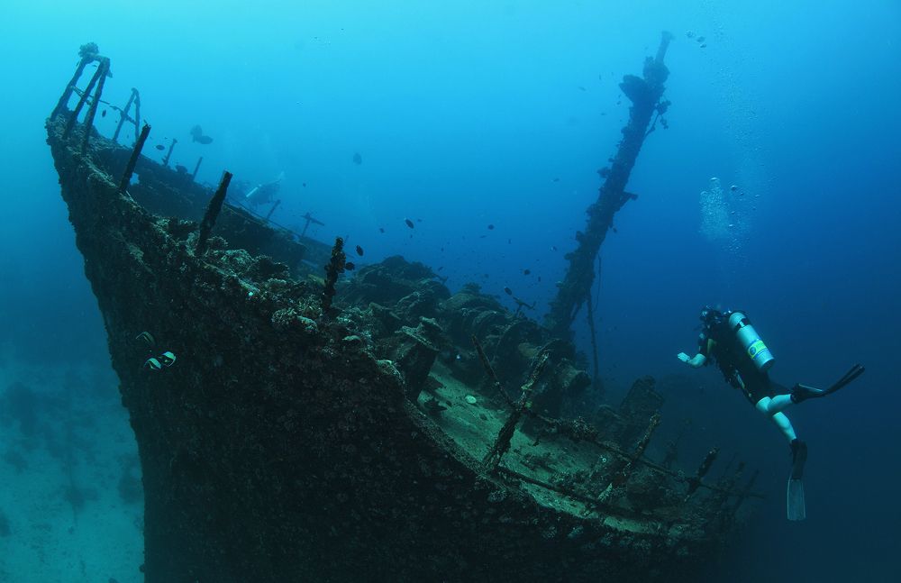 тайна махифуши