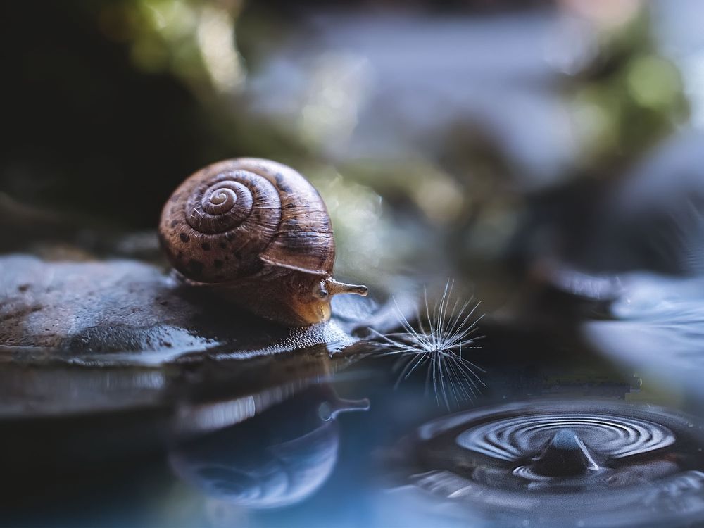 Photograph by Rogozina Olga