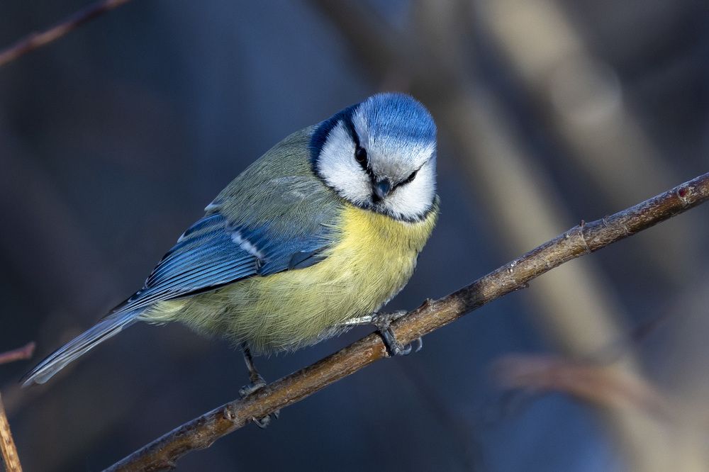 Photograph by Щепанов Дмитрий