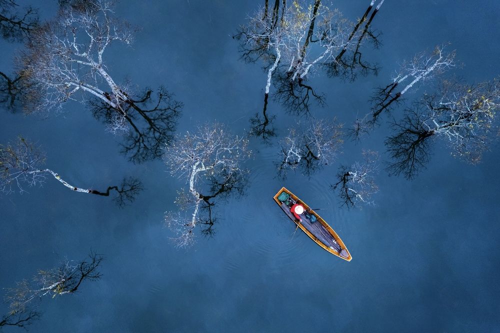 Фотография автора Quynh Nga Pham