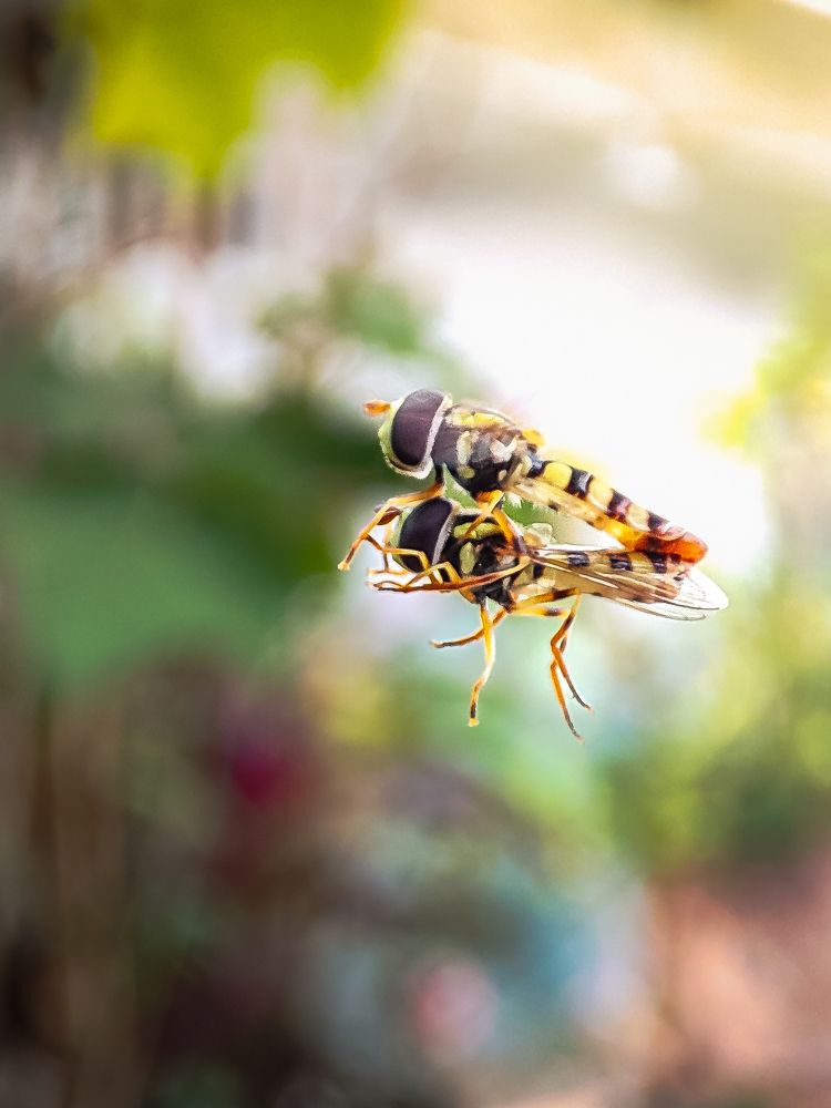 Love is in the air ❤