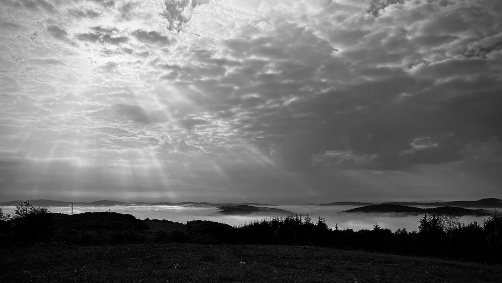 Photograph by Magdalena Kolenicova