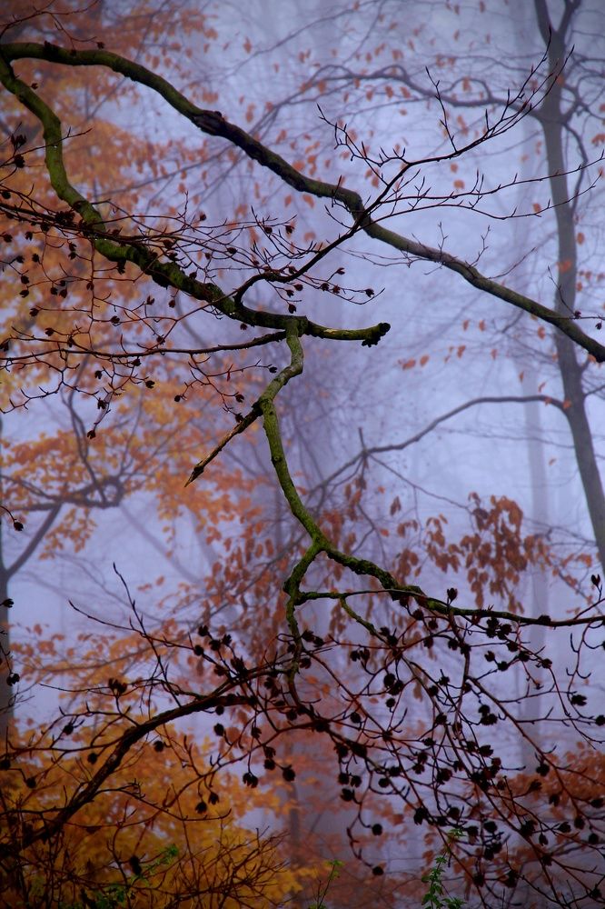 Photograph by Magdalena Kolenicova