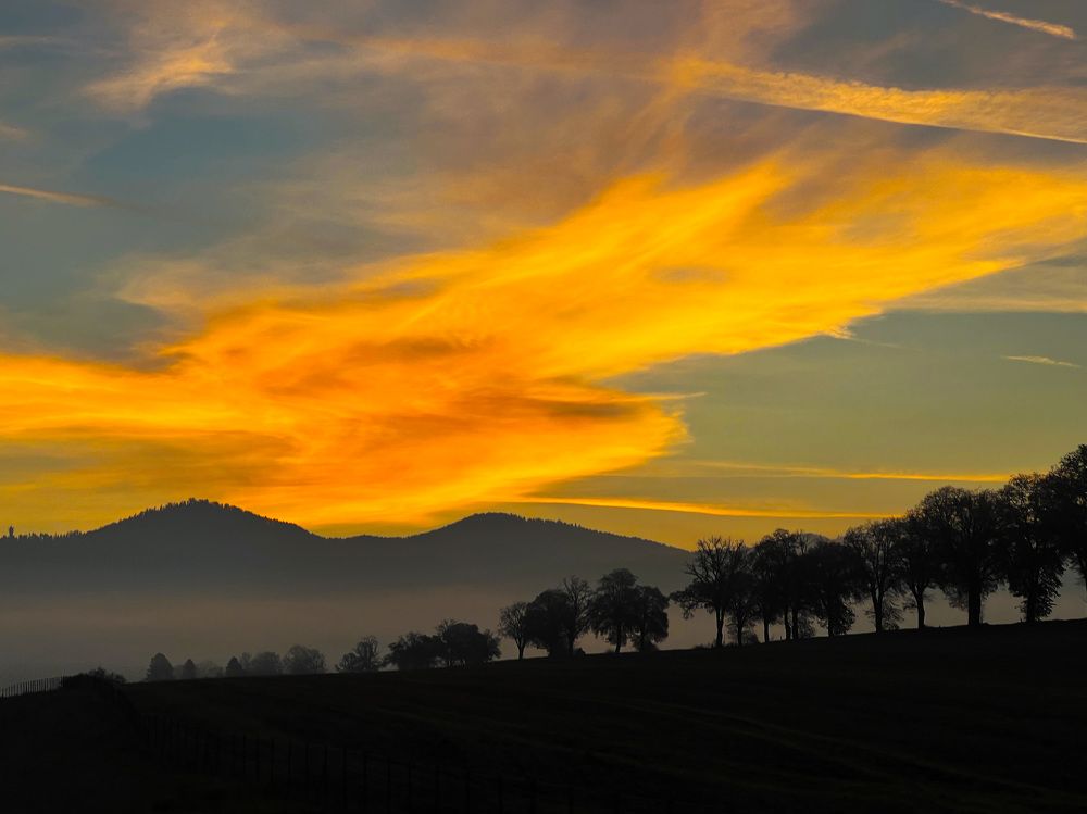 Photograph by Magdalena Kolenicova