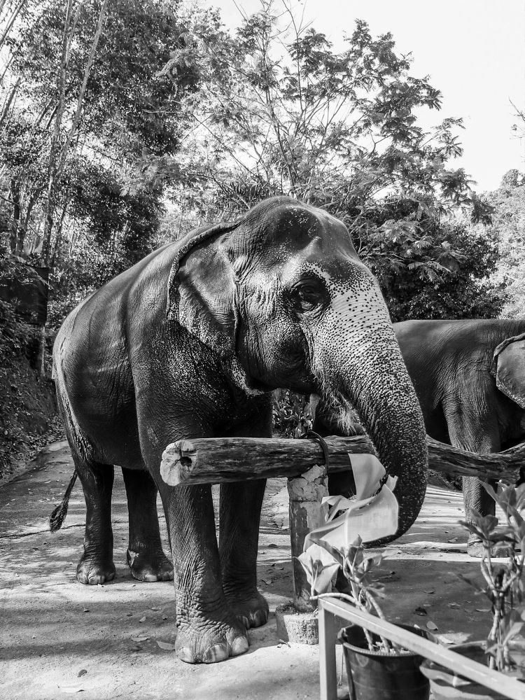 Photograph by Екатерина Слепнева