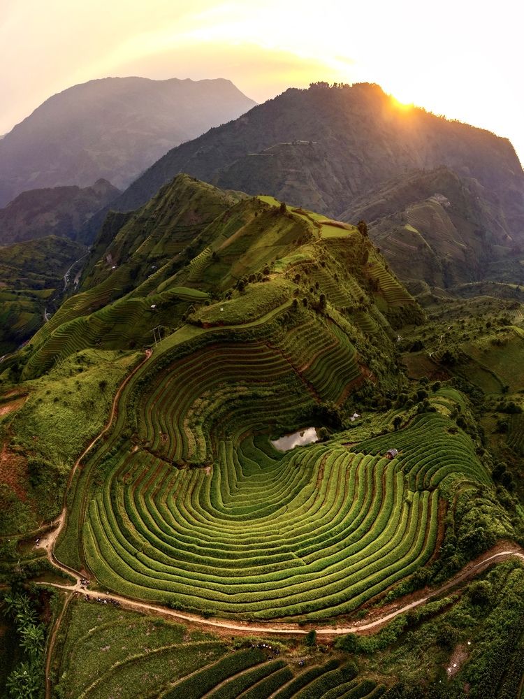 Фотография автора Quynh Nga Pham