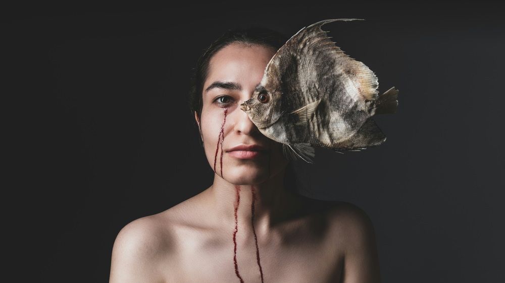 Photograph by Hooman Sedaghi