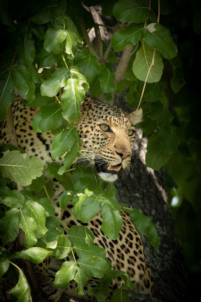 Photograph by Raquel Barao