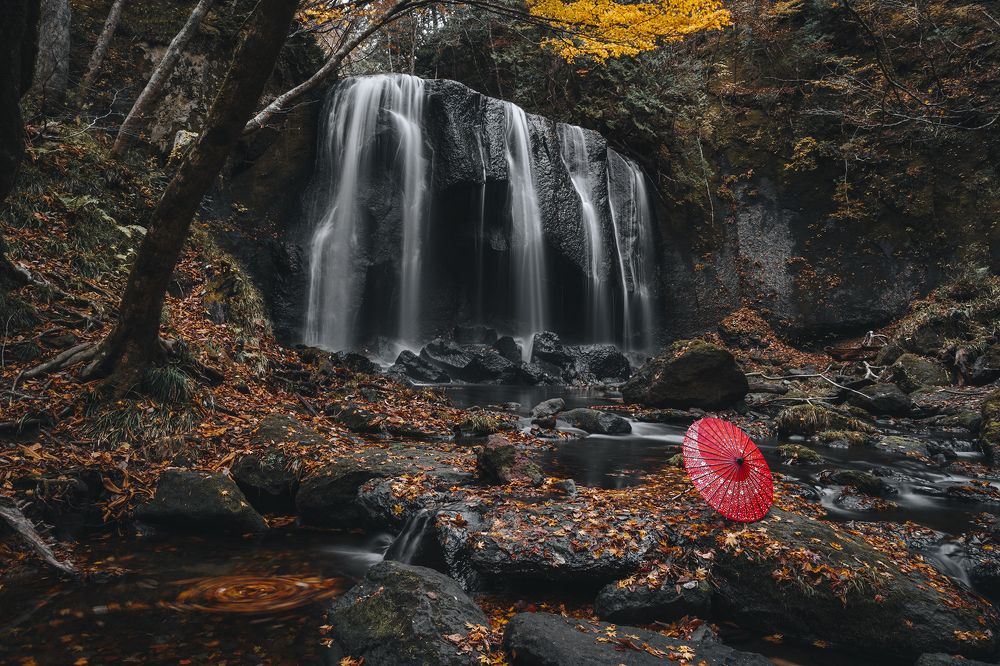 Photograph by Hiếu Nguyễn Văn