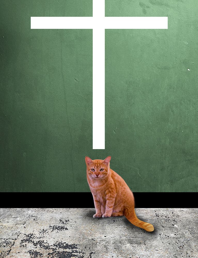 Has just been baptized