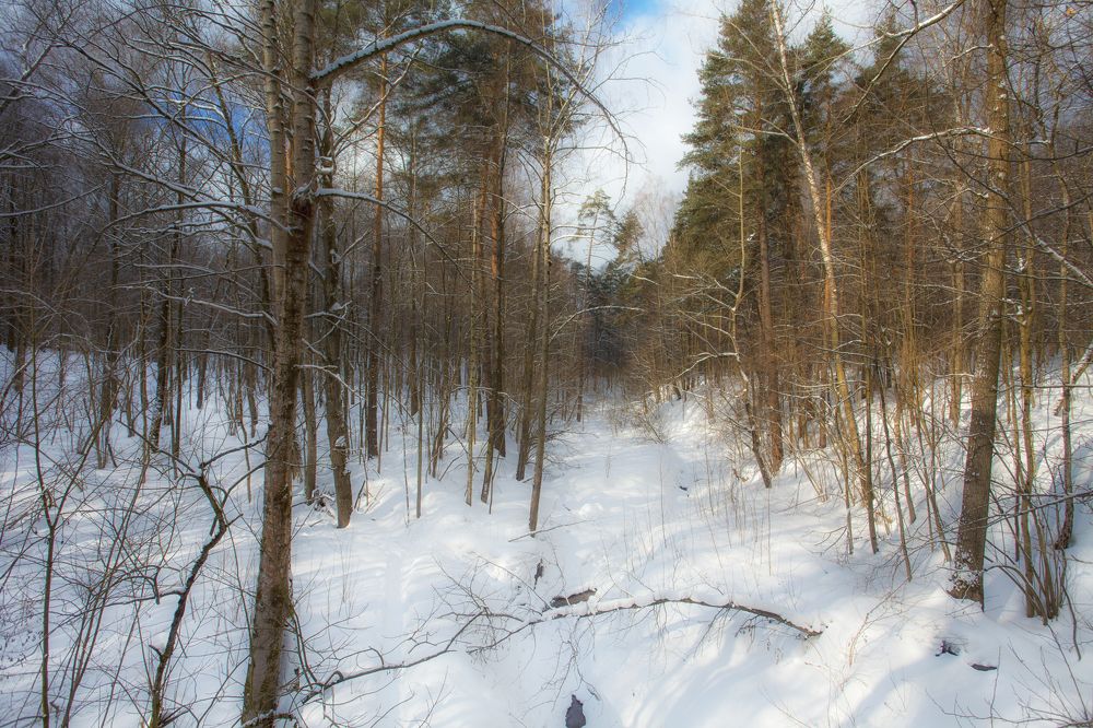 Photograph by Сергей Старостин