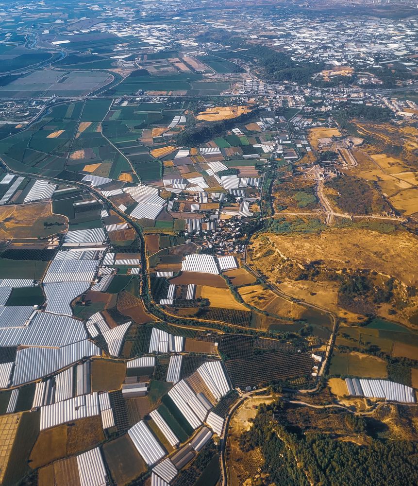 Photograph by Ольга Ларизадех