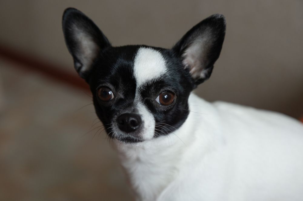 Photograph by Борис Иванов