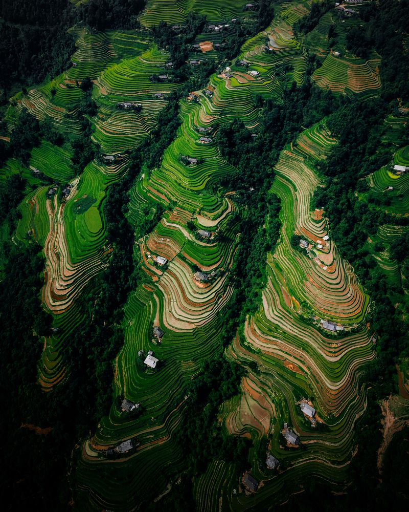 Terraced fields of La Chi ethnic people in Phung village, Ha Giang, Vietnam