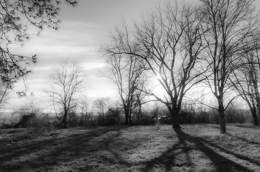 Photograph by Редько Александр