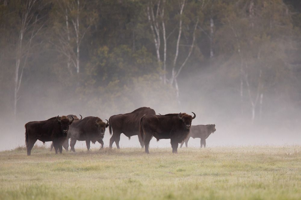 Photograph by Zakrzewski Marcin