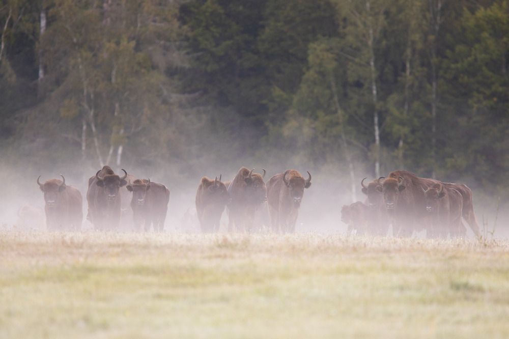 Photograph by Zakrzewski Marcin