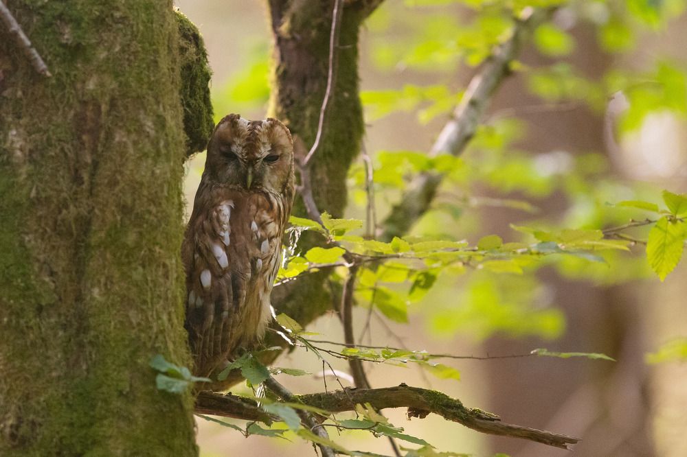 Photograph by Zakrzewski Marcin