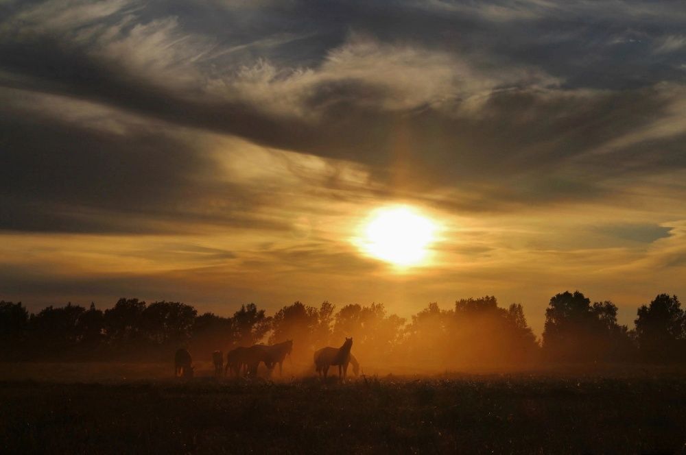 Вечер в деревне