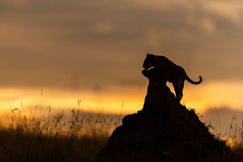Photograph by Biju Gopalakrishnan