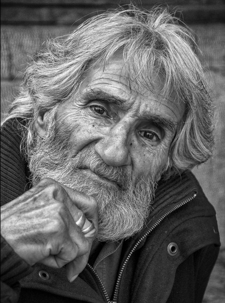 Photograph by mehdi shirvani