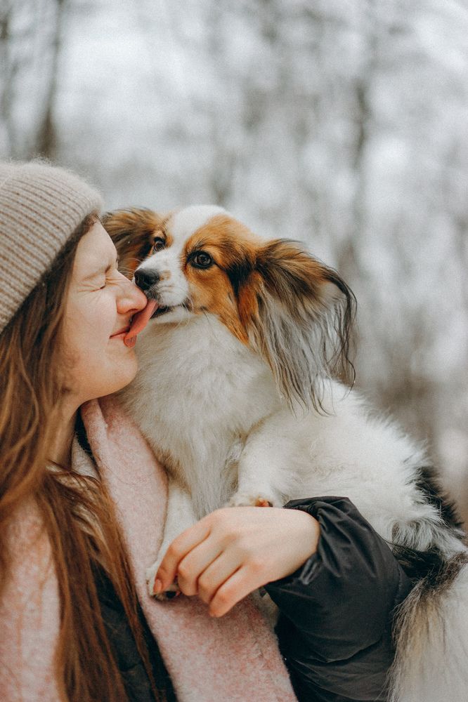 Так выглядит преданность и любовь.