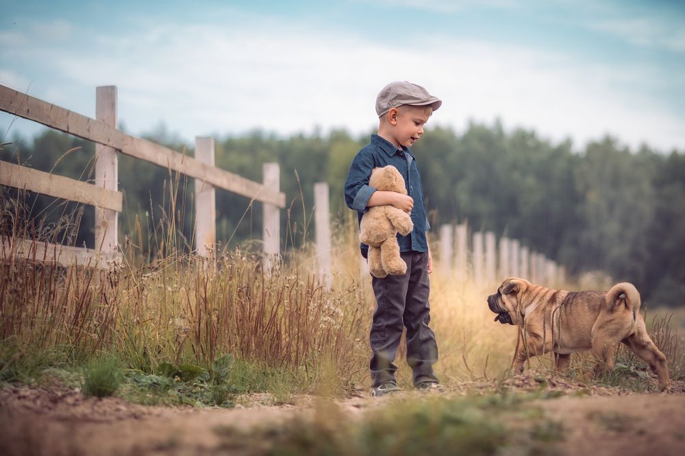 Photograph by Елена Раздвилова