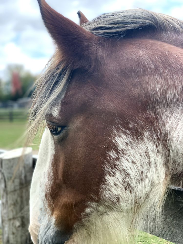 Photograph by Liliana Grup