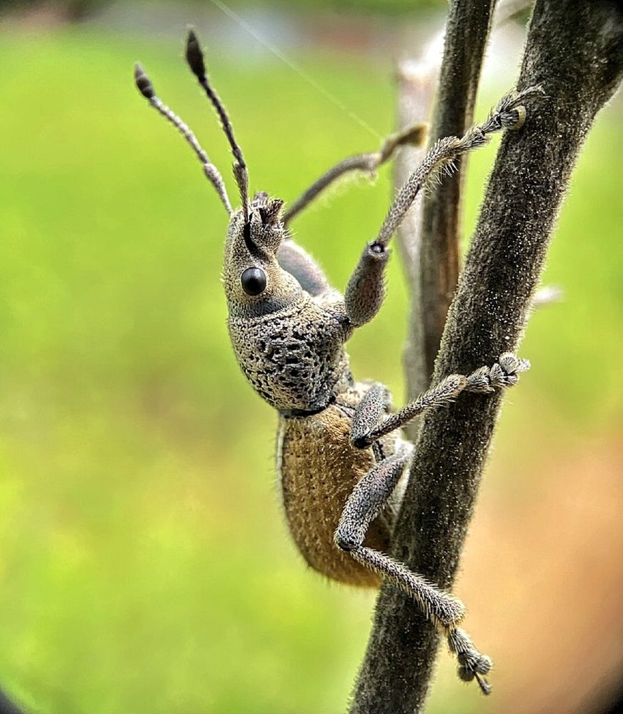 Photograph by FRANCISCO VALDICELIO FERREIRA