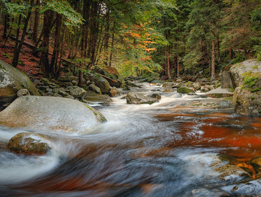 Photograph by Ожерельев Андрей