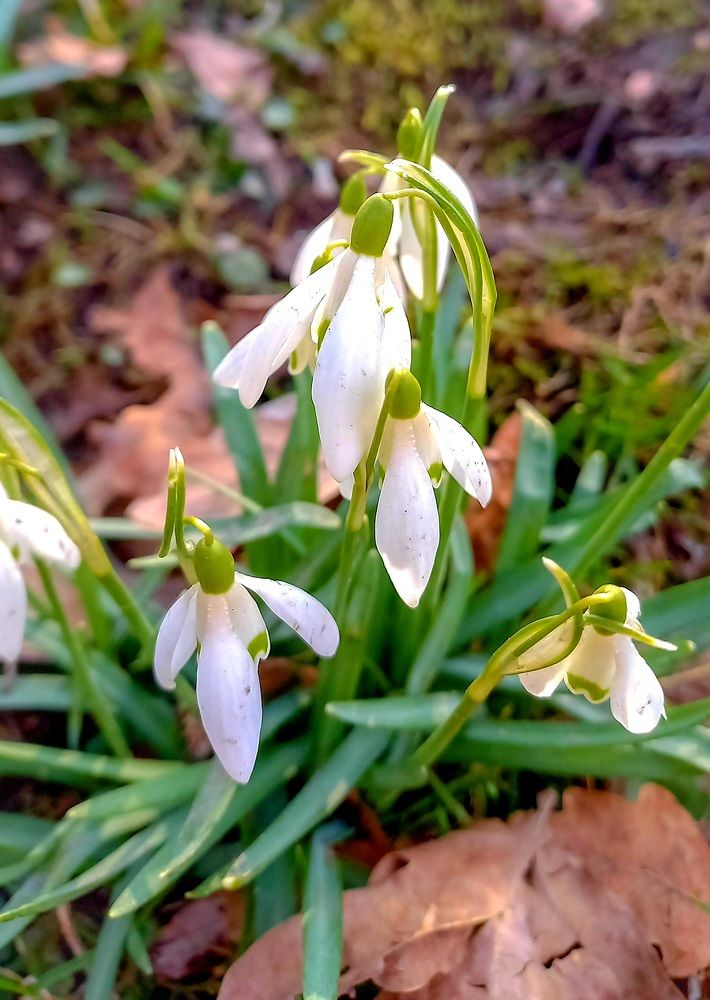 Photograph by Елена Шерман