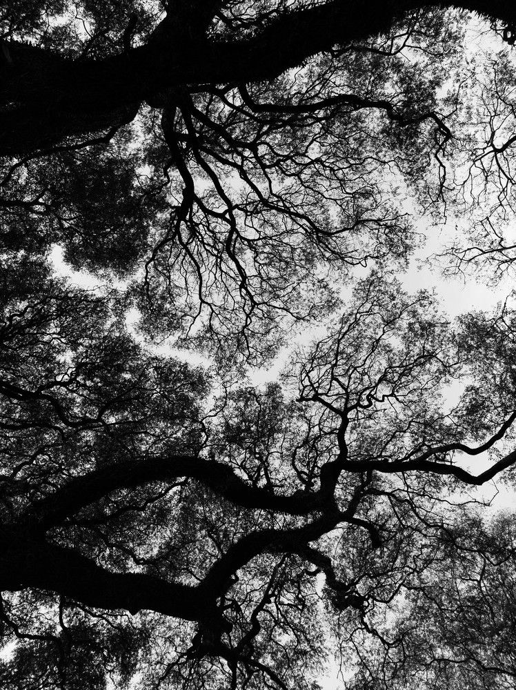 Photograph by Juan Cruz Rodeiro
