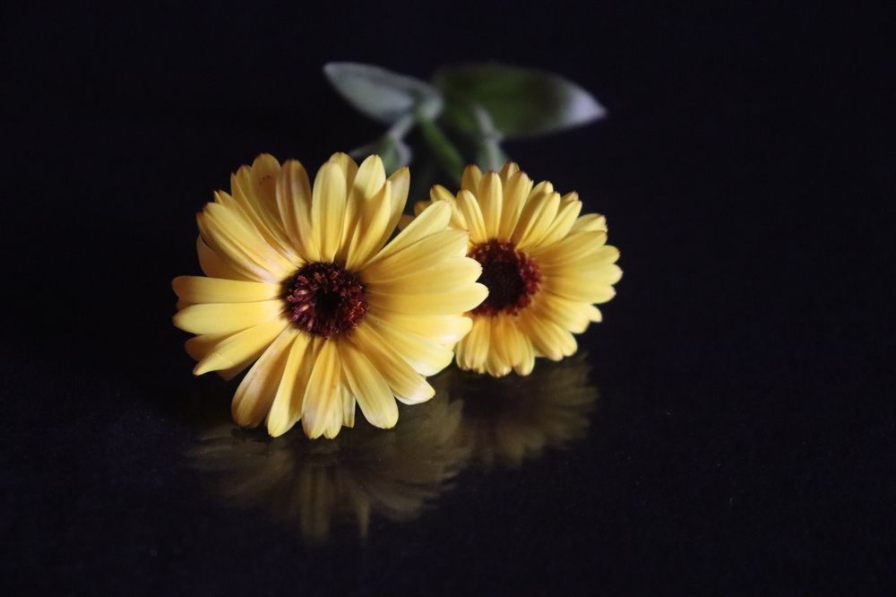 Photograph by SURAJIT SARKAR