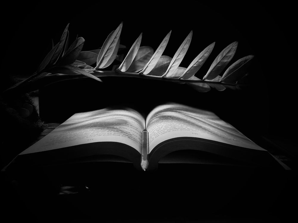 Photograph by Naveena Wimalarathne