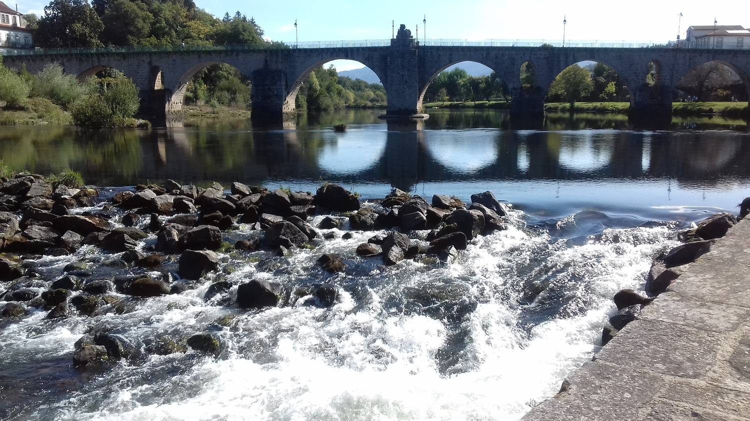 Photo #9027557