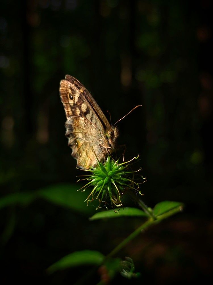 Photograph by Денис Грамович
