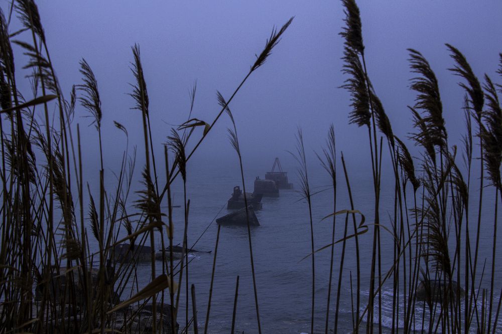 Photograph by Артем Архипов