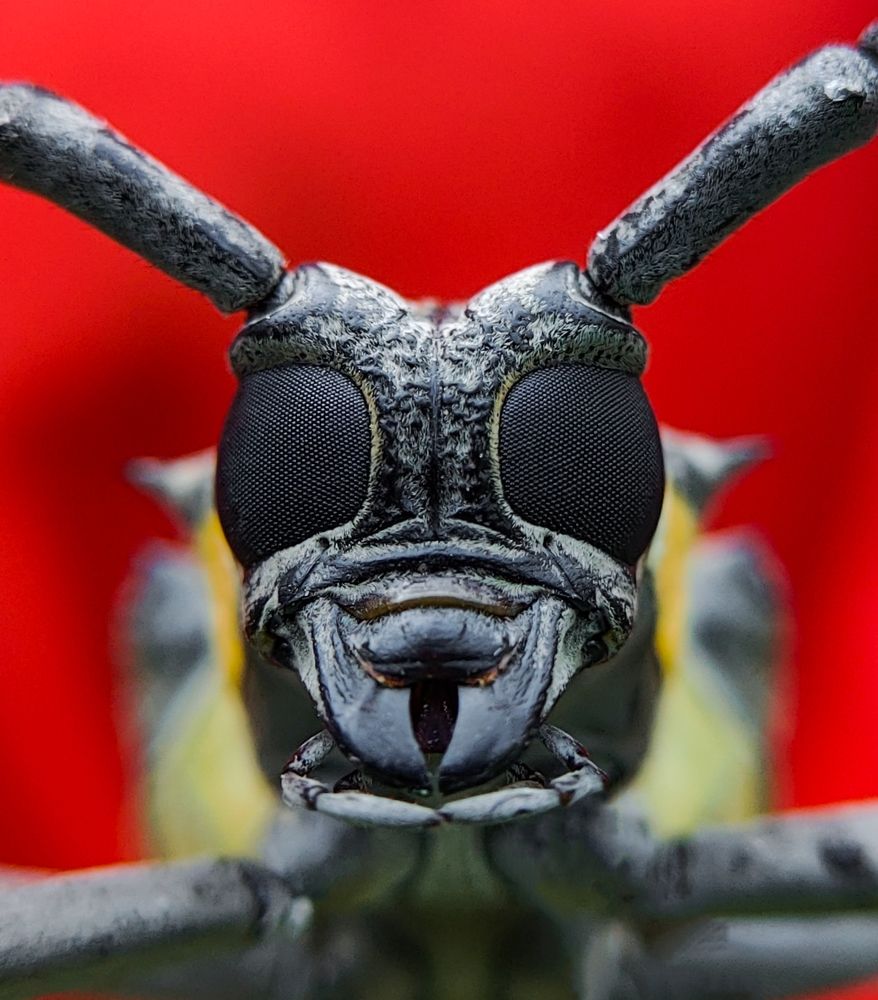 Photograph by Ajeesh A