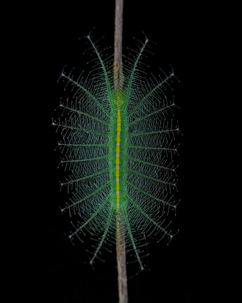 Photograph by Ajeesh A