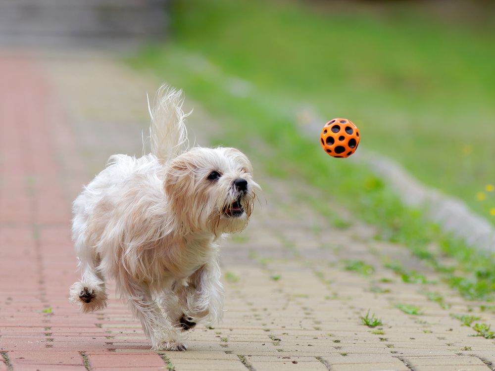 Photograph by Laurentiu Lupascu