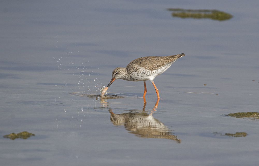 Photograph by Валентина Лопаткина