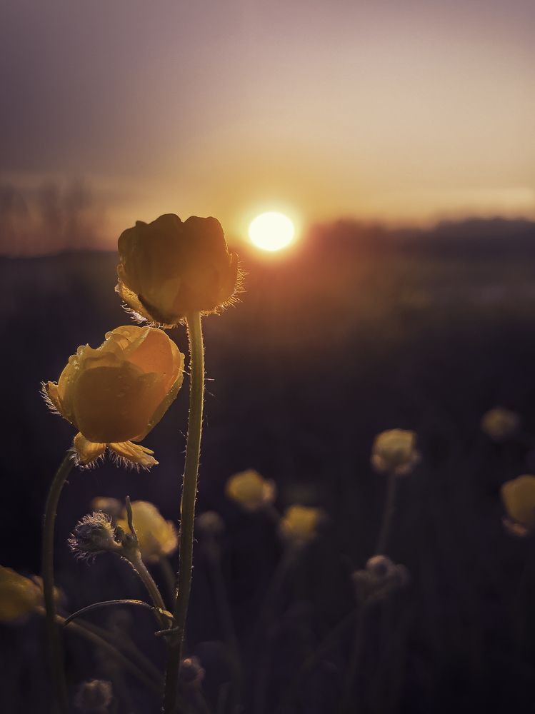 Photograph by Елена